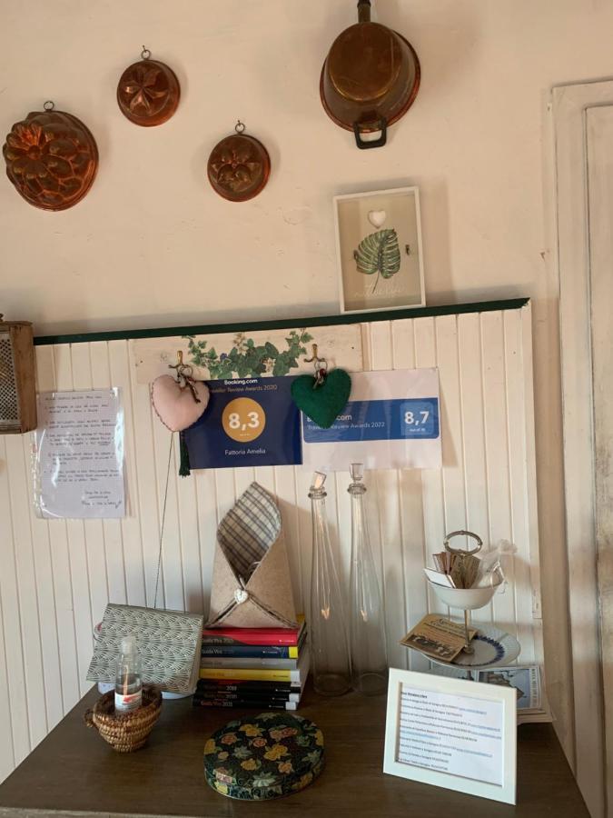 Fattoria Amelia Villa Santa Caterina  Eksteriør billede