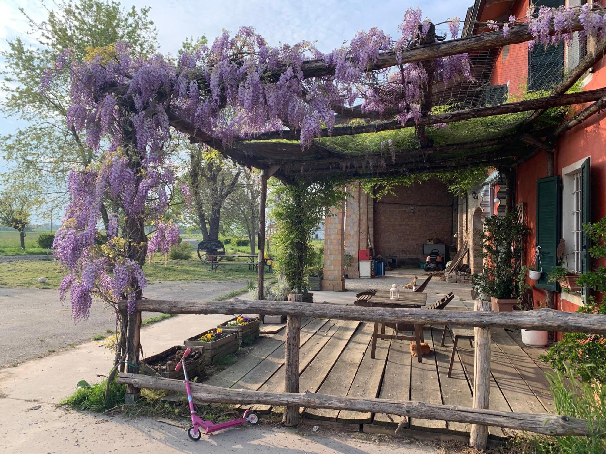 Fattoria Amelia Villa Santa Caterina  Eksteriør billede