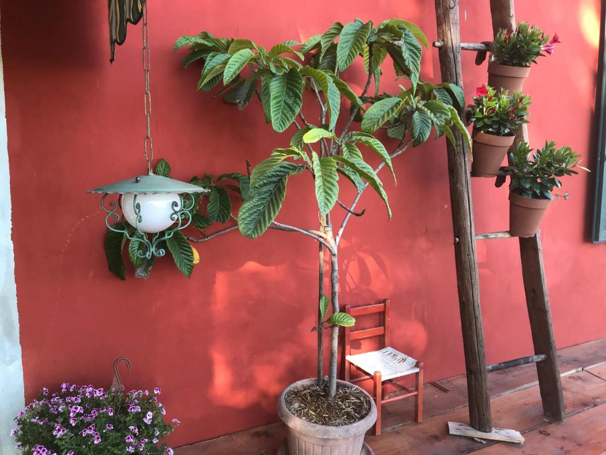 Fattoria Amelia Villa Santa Caterina  Eksteriør billede